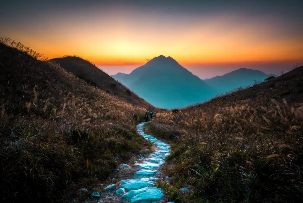 path-to-victory